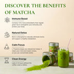 Avelor Sabi Ceremonial Matcha Green Tea Powder, 100% Natural, 100g.