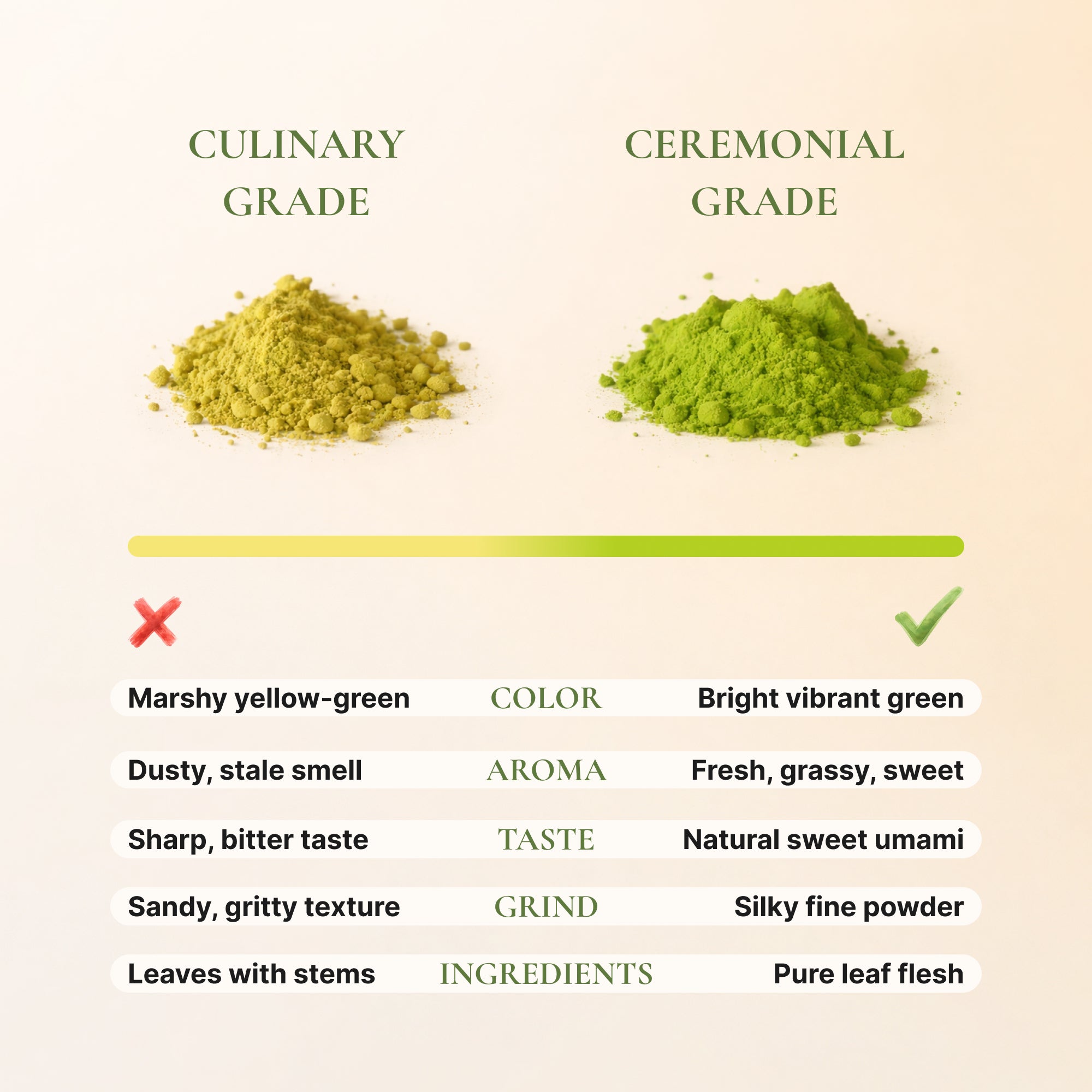 Matcha Sabi 30g | Premium Ceremonial Grade