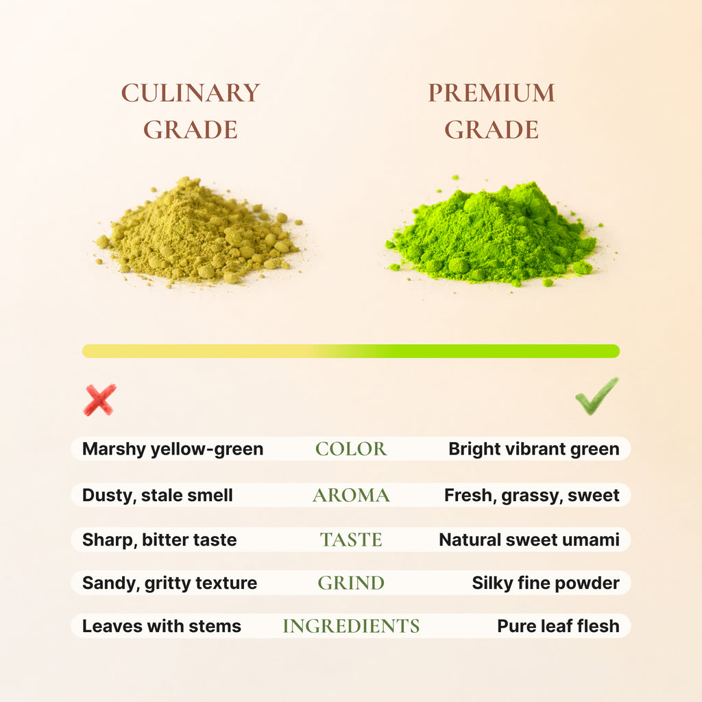 Avelor IKI Premium Ceremonial Matcha Green Tea Powder, 30g Tin