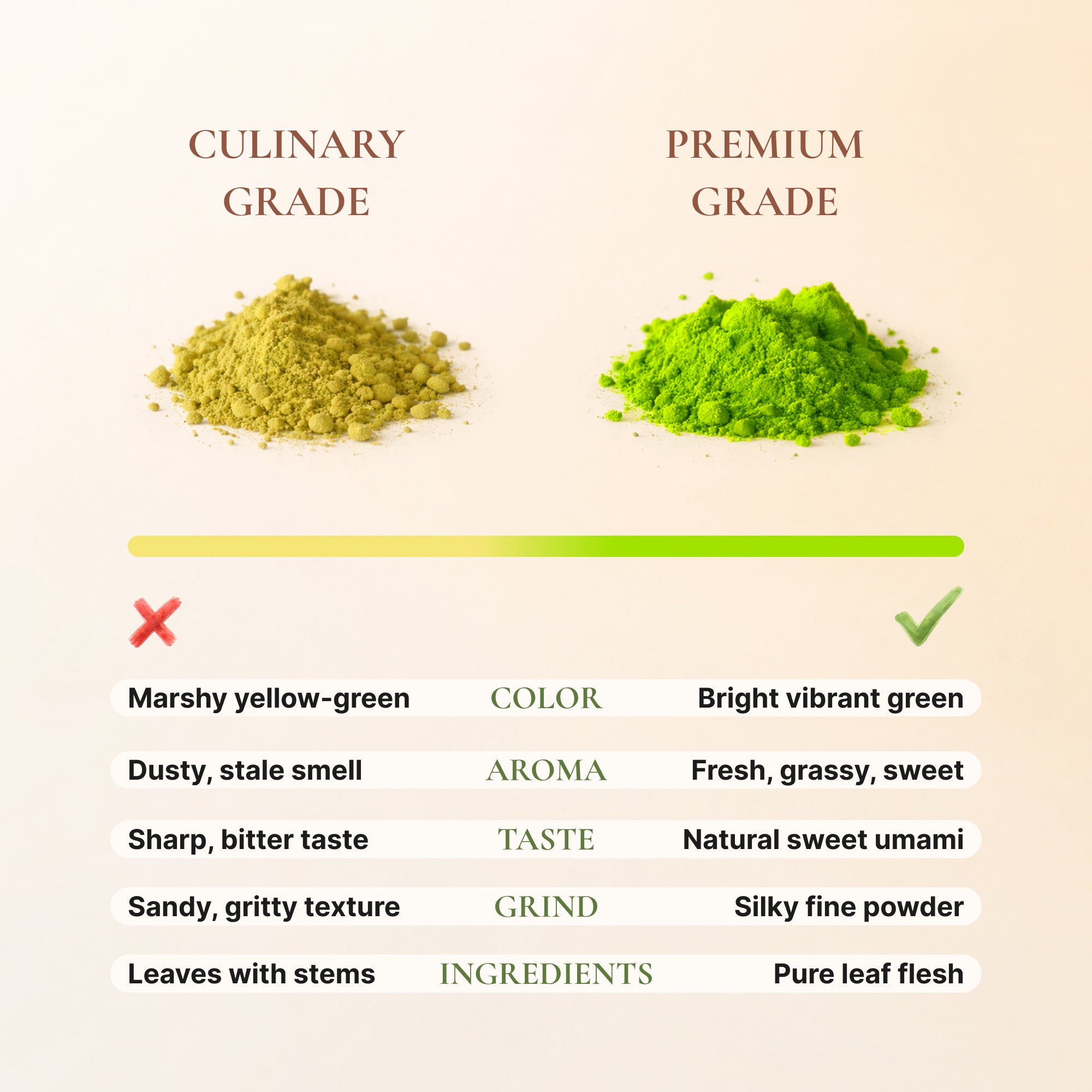 Avelor IKI Premium Ceremonial Matcha Green Tea Powder, 30g Tin