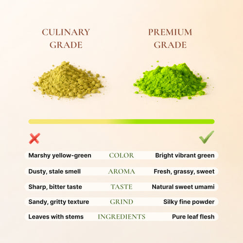 Avelor IKI Premium Ceremonial Matcha Green Tea Powder, 30g Tin